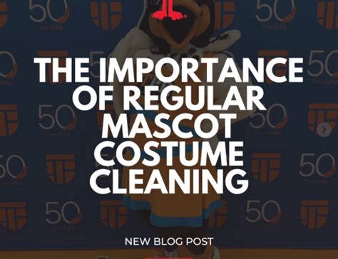 Local mascot cleaning services